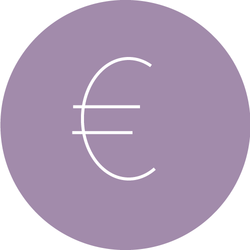 Icon-Euro